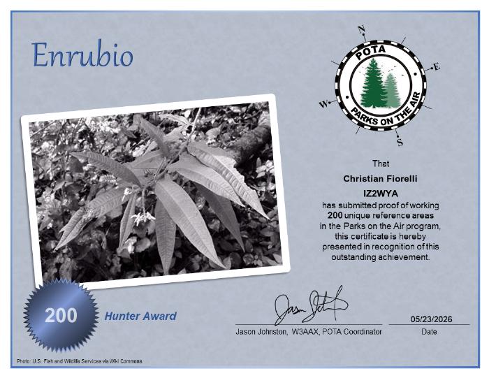 Enrubio Hunter